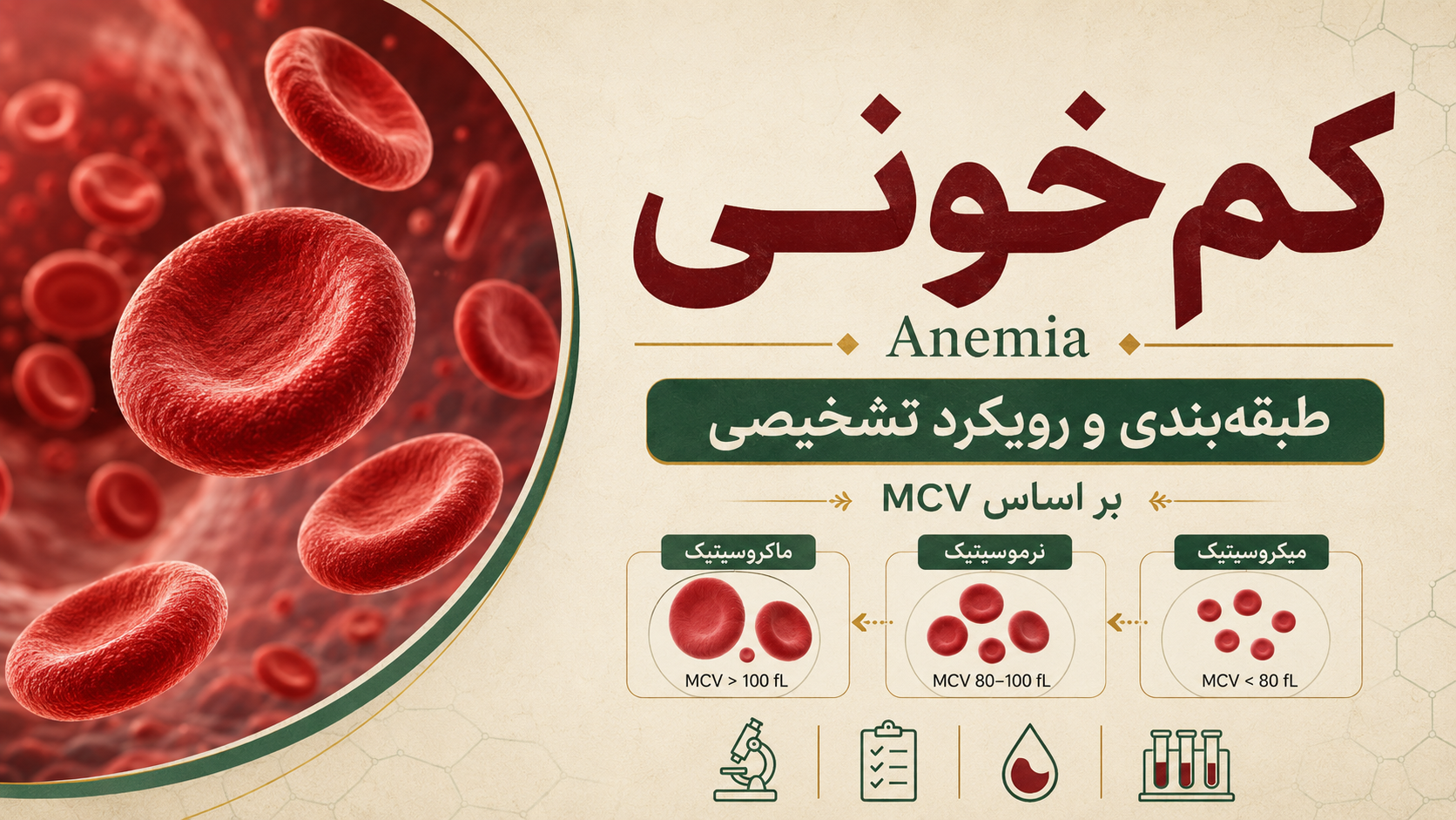 تصویر آموزشی رویکرد تشخیصی به کم‌خونی و طبقه‌بندی آنمی بر اساس MCV